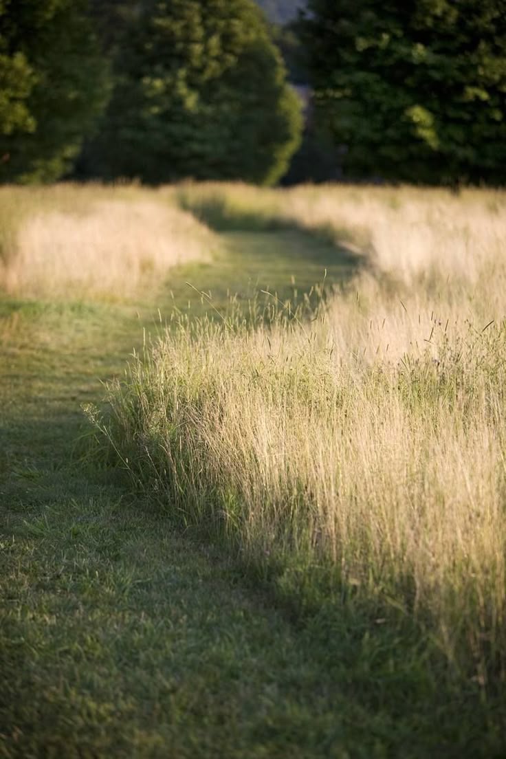 Paisagem natural representando a abordagem da Gestalt-terapia